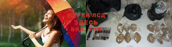 ПСИЛОЦИБИНОВЫЕ ГРИБЫ Нефтегорск