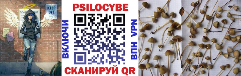 Псилоцибиновые грибы Magic Shrooms  hydra сайт  Чебаркуль  магазин   