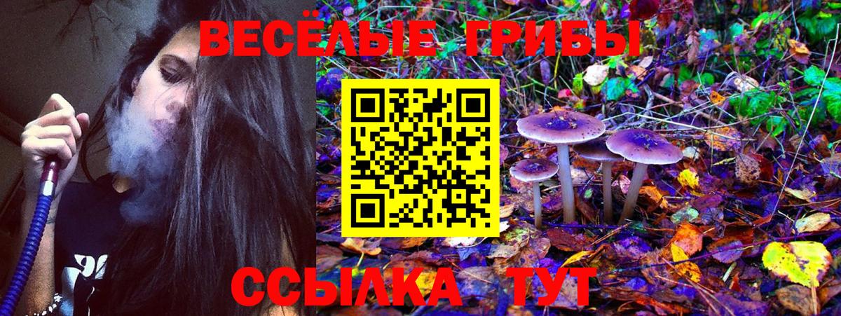 Галлюциногенные грибы мухоморы  Вход с VPN  Чебаркуль  купить   Псилоцибиновые грибы прущие грибы 